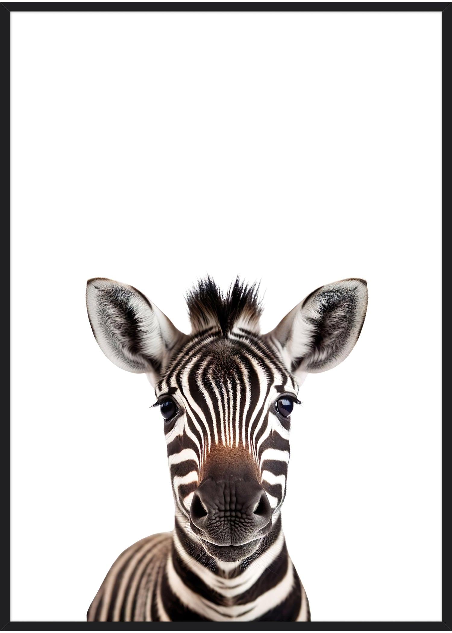 sort ramme zebra