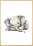 sovende elefant plakat