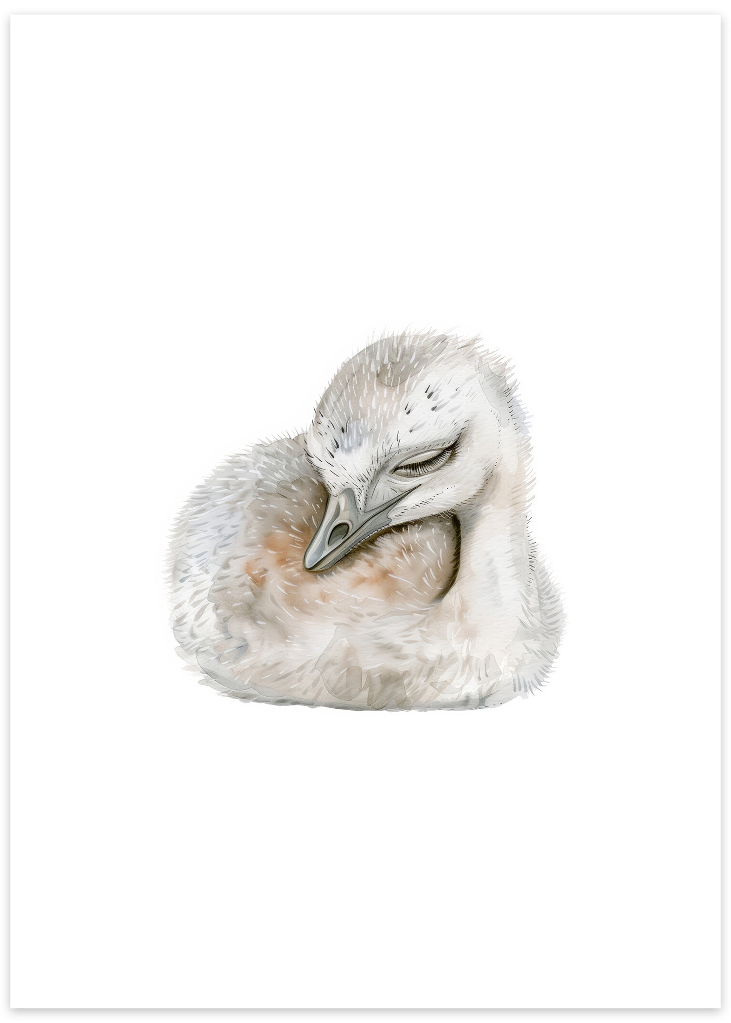 sovende emu plakat