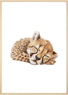 sovende gepard plakat
