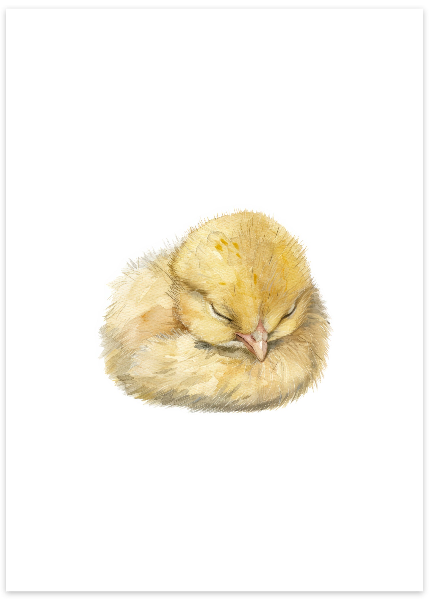 sovende kylling plakat