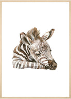 sovende zebra plakat