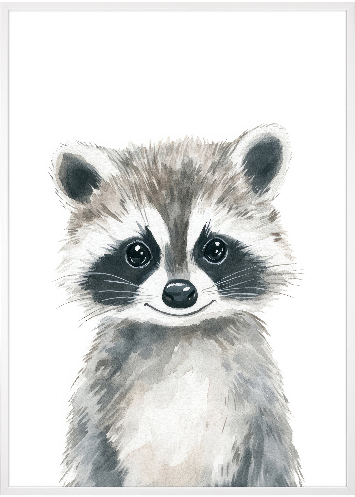 vaskebjørn illustration