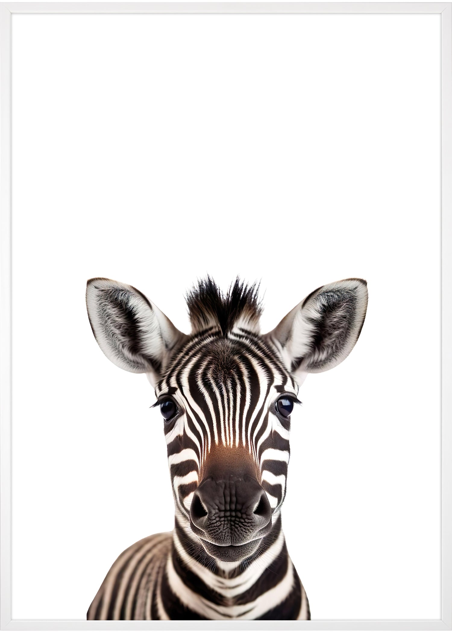 zebra plakat hvid ramme