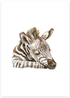 zebra plakat