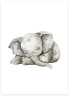 elefant plakat