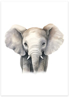 elefant plakat