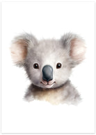 koala plakat