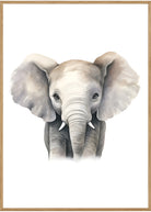 plakat elefant