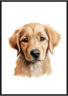 plakat med golden retriever