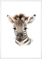 plakat med sød zebra