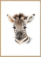 plakat zebra